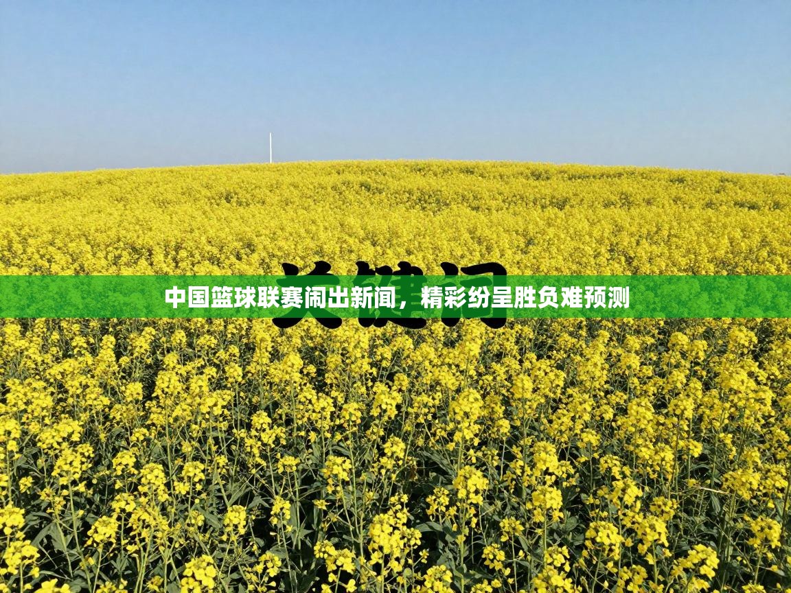 中国篮球联赛闹出新闻，精彩纷呈胜负难预测