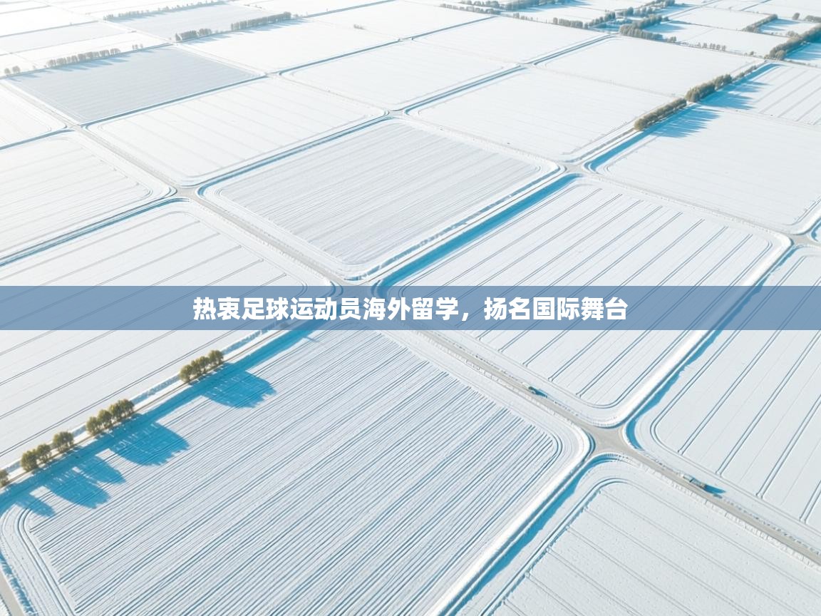 热衷足球运动员海外留学，扬名国际舞台  第2张