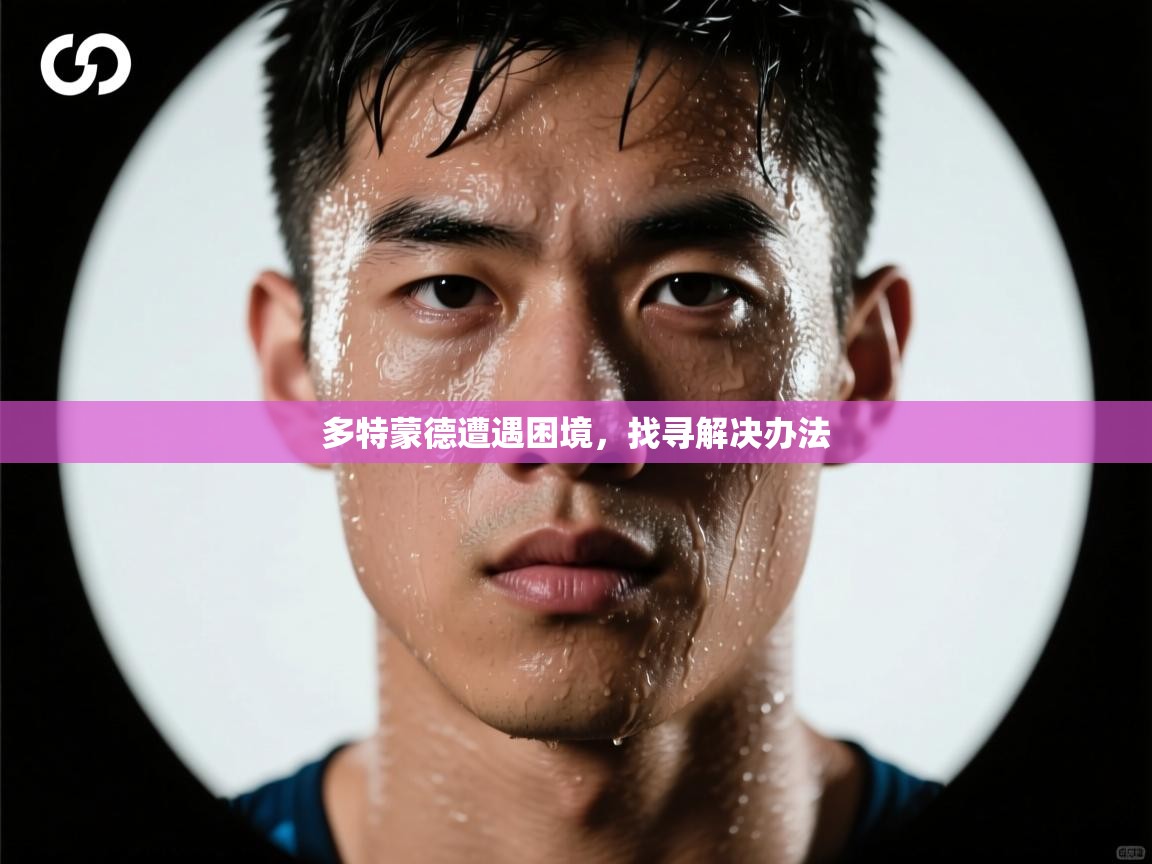 多特蒙德遭遇困境，找寻解决办法  第2张
