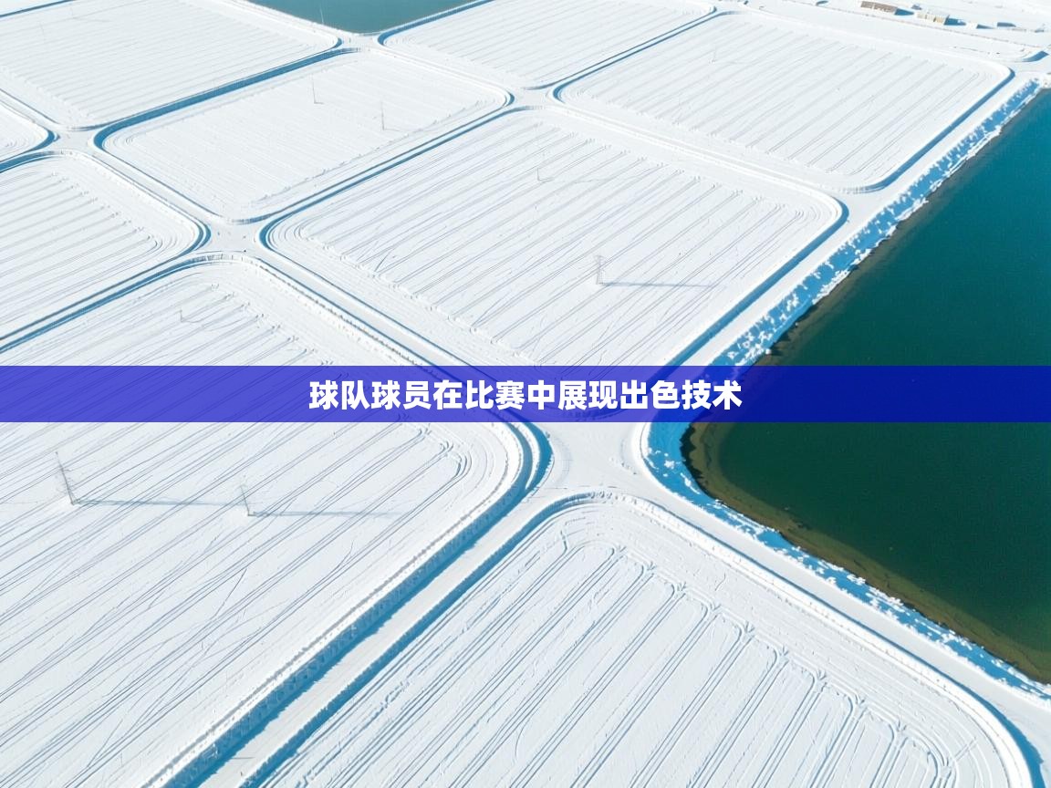 球队球员在比赛中展现出色技术