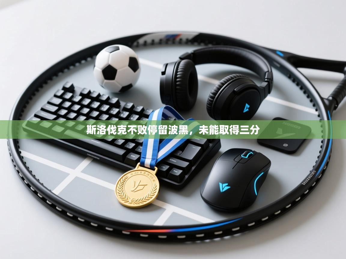 斯洛伐克不败停留波黑，未能取得三分  第2张